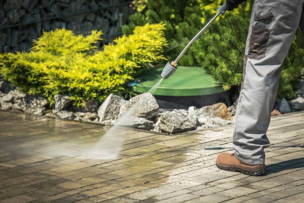 Animal Enclosure Cleaning in Ocoee, FL